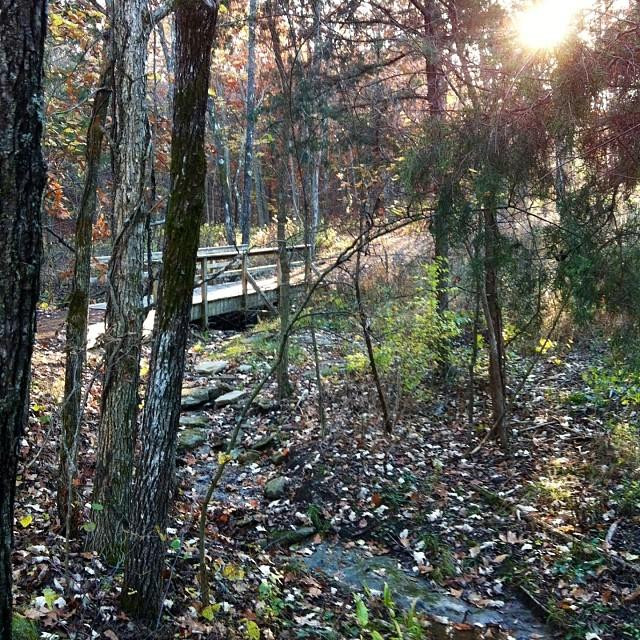 Runge Conservation Nature Center-杰佛逊市必去景点