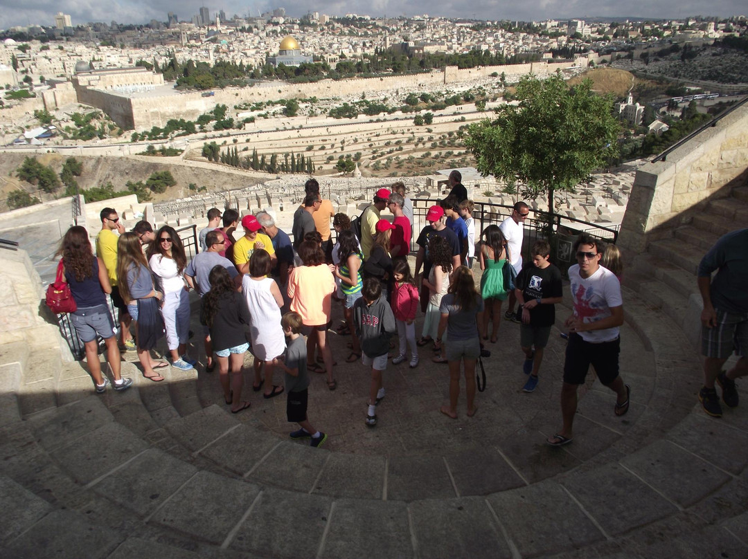 Gold Carpet Tours-Petah Tiqwa必去景点