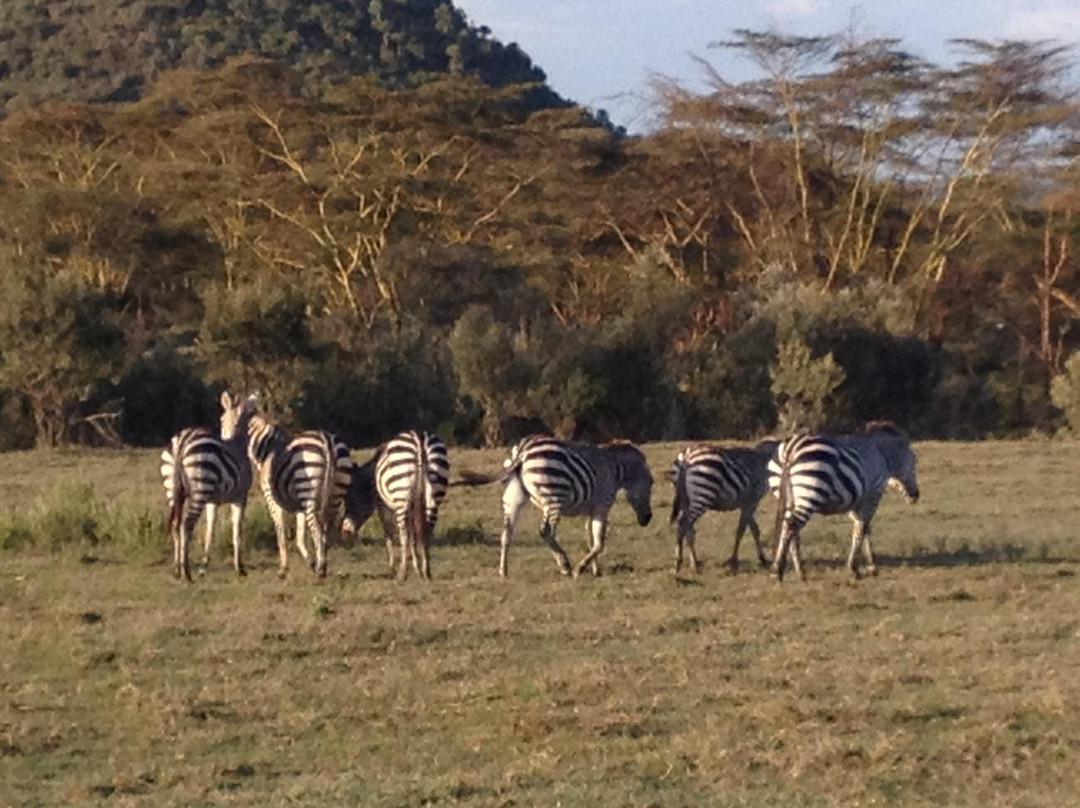 Crater Lake Game Sanctuary-奈瓦夏必去景点