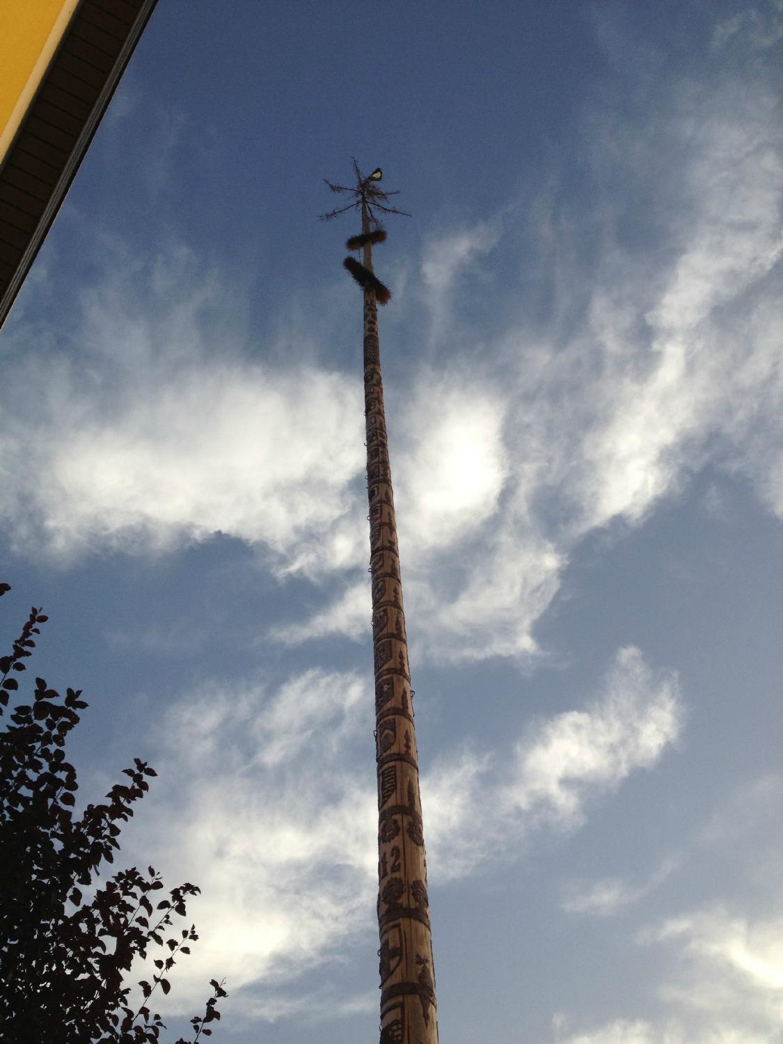 Gasthof Sauer-客卧