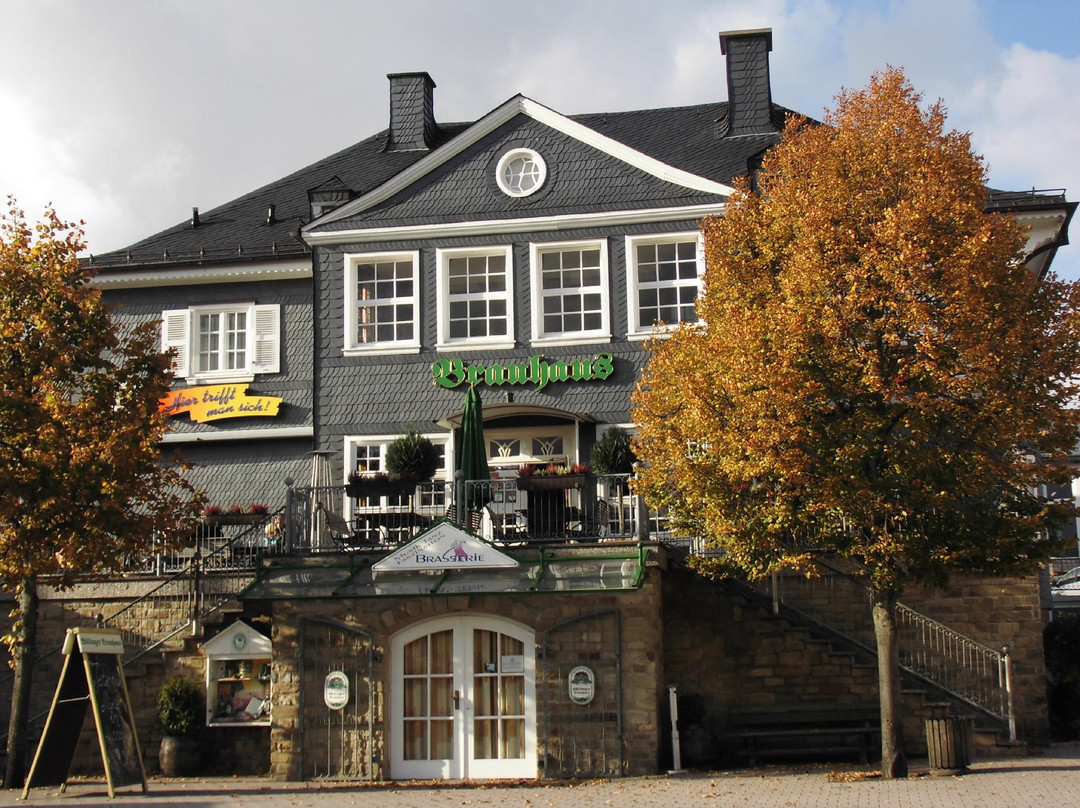 Willingen餐馆和美食-Willinger Brauhaus