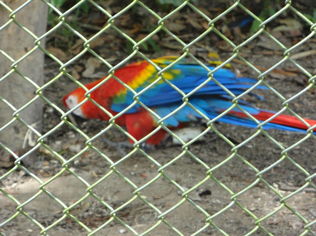 Parque Estadual de Dois Irmãos景点图片