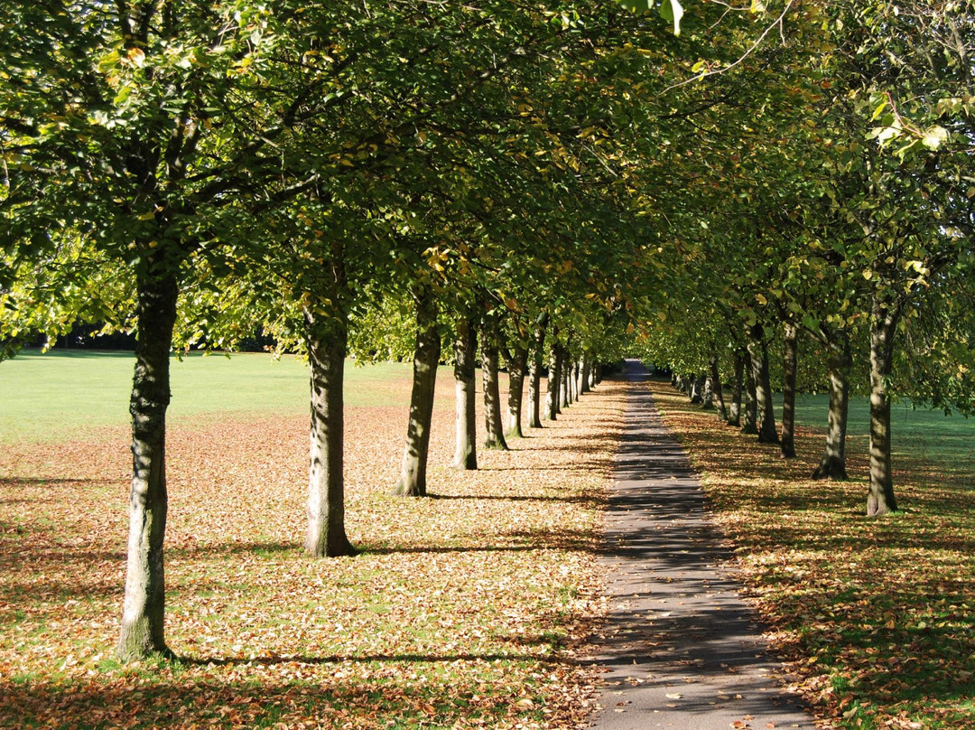 Eglinton Country Park景点图片