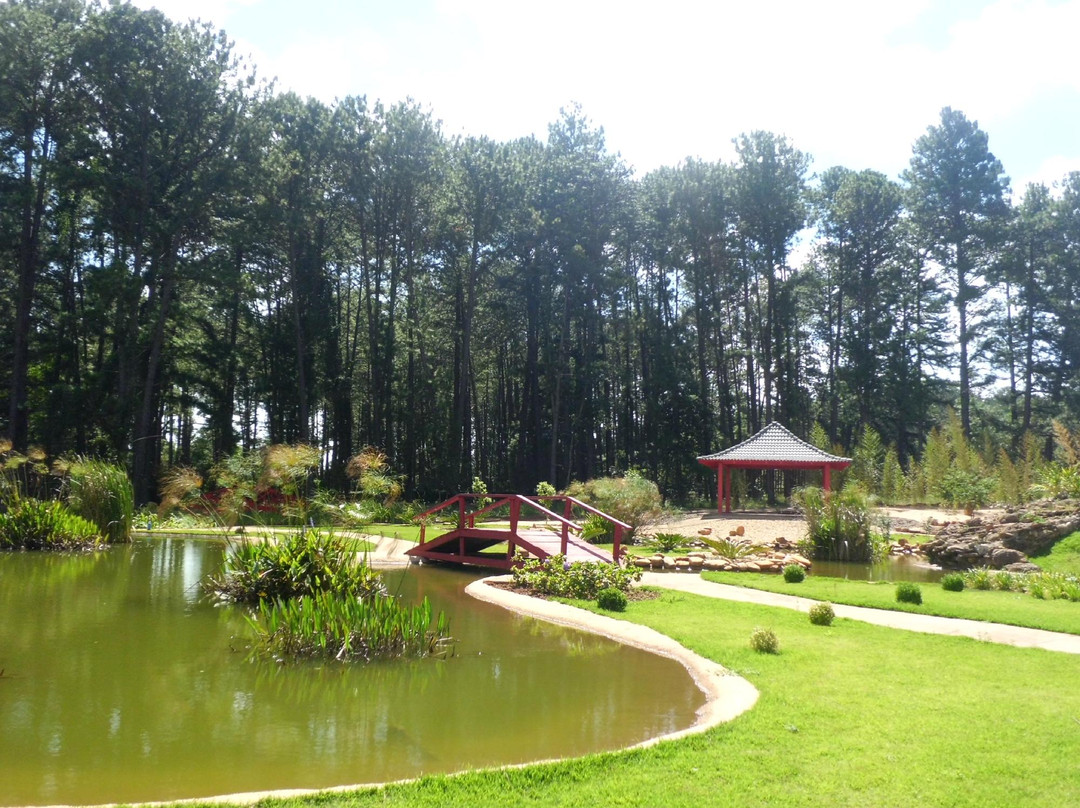 Jardim Botânico de Brasília-巴西利亚必去景点