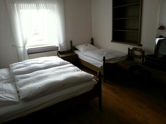 Hotel Goldener Stern-客卧