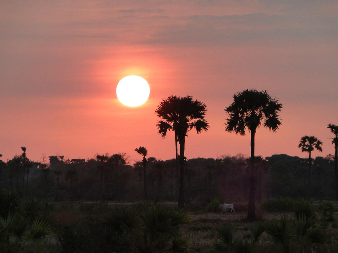 Premier Angkor Tours