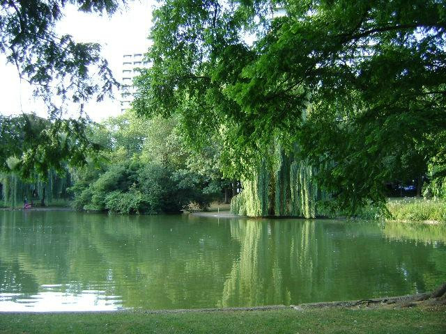 Stadtgarten景点图片