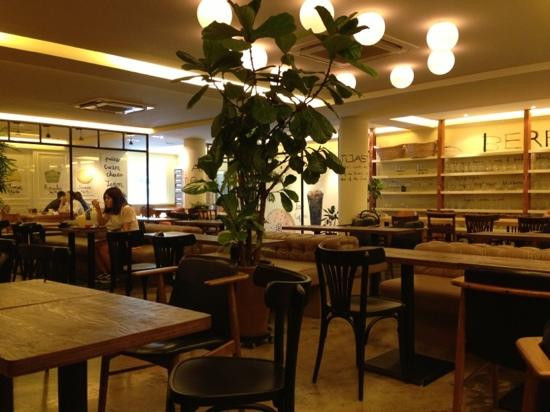 新沙洞林荫树路-首尔必去景点