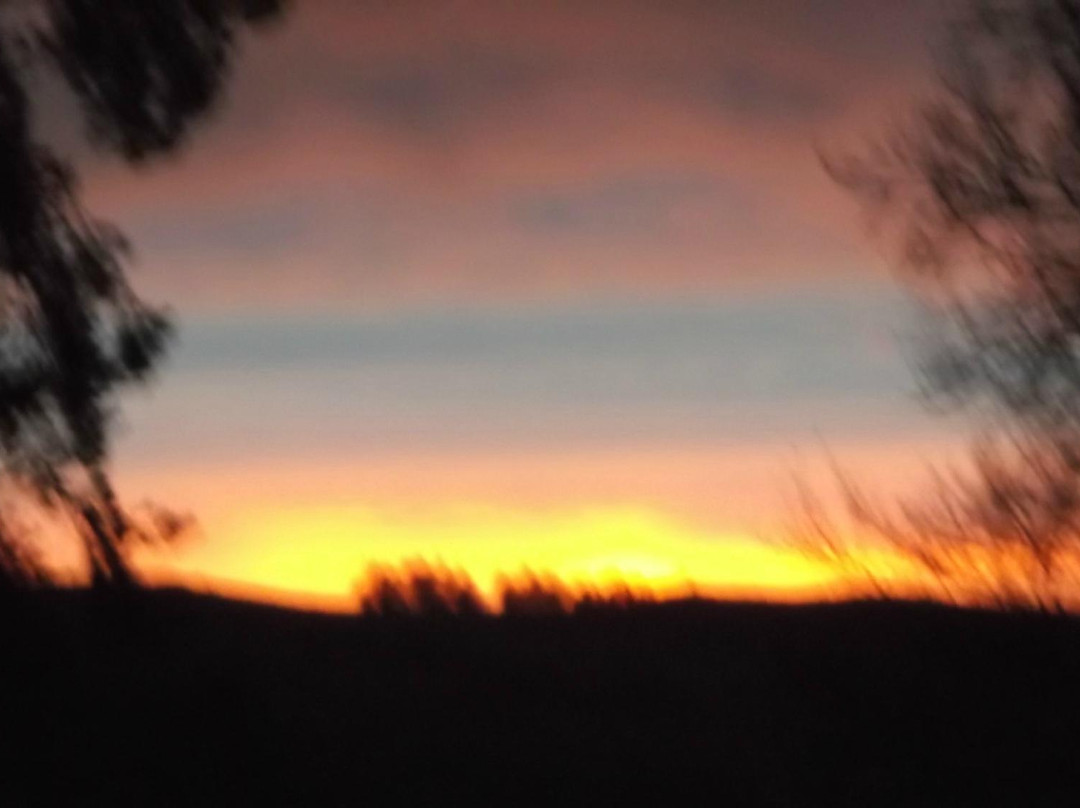 Thistledo House B&B主图