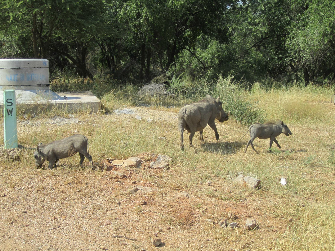 Gaborone Game Reserve-嘉伯隆里必去景点