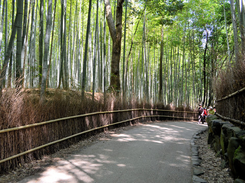嵯峨野竹林-京都市必去景点