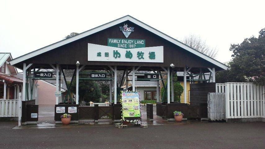 Narita Yume Farm-成田市必去景点