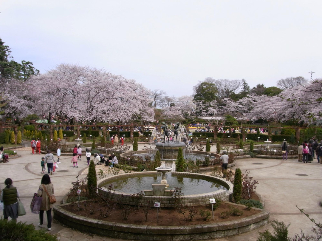 Satomi Park-市川市必去景点