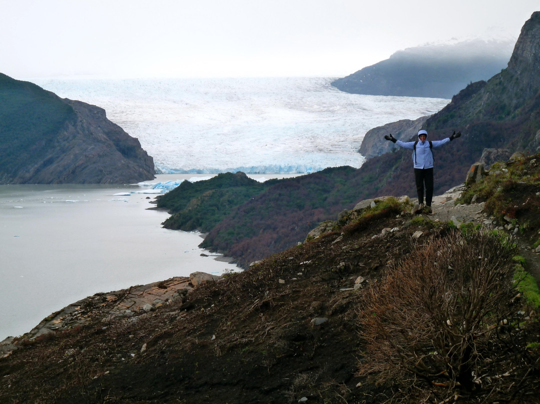Glaciar Grey-纳塔莱斯港必去景点