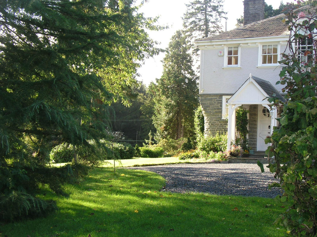 The Old Vicarage Bed & Breakfast主图