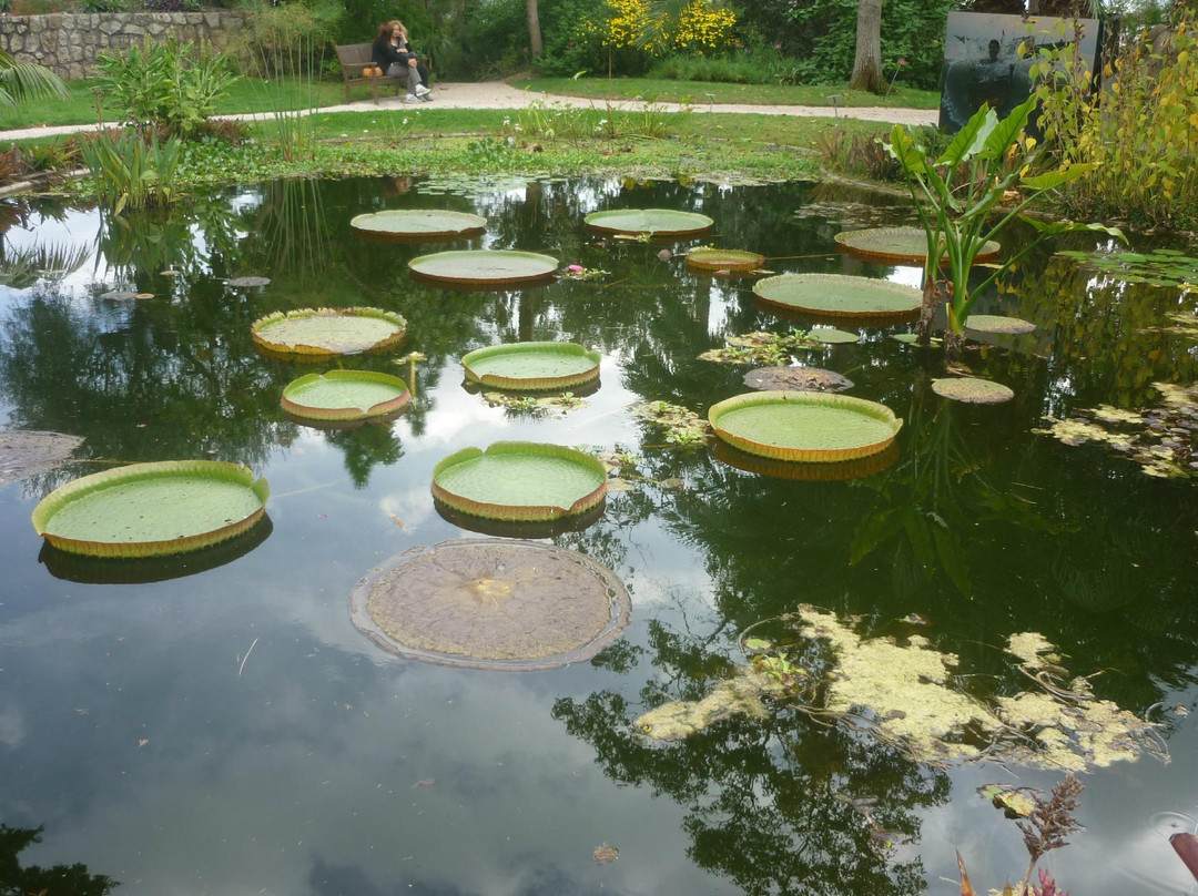 Jardin Botanique Val Rahmeh - Menton-芒通必去景点