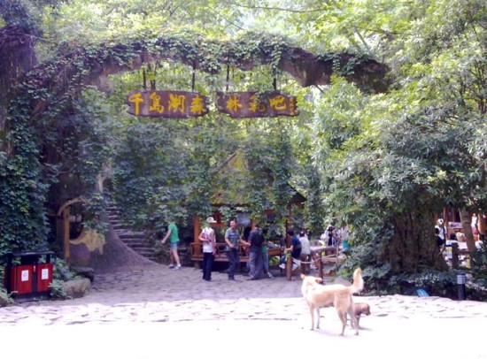 杭州千岛湖国家森林公园-淳安县必去景点