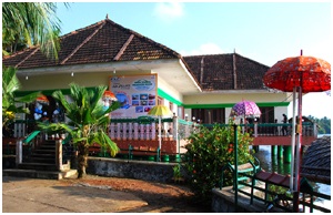 Green Channel Backwater Resort-官方