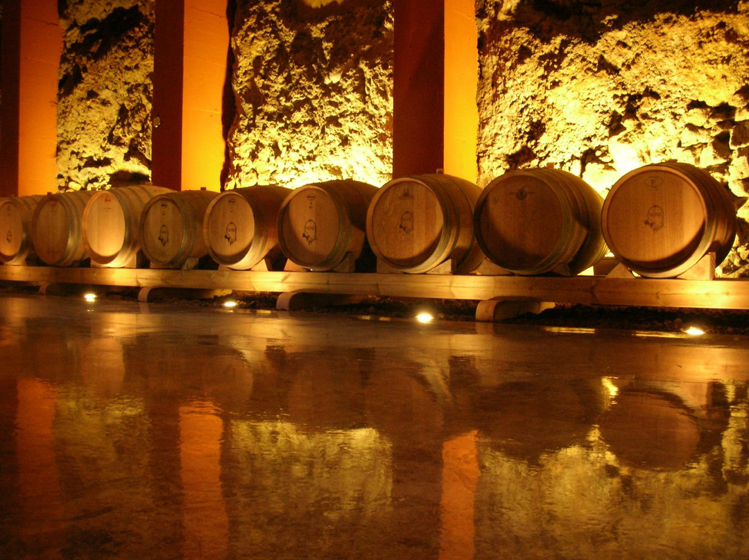 Bodegas Monje-El Sauzal必去景点
