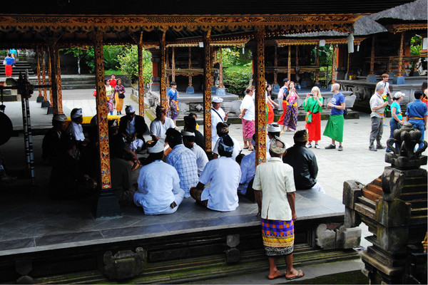 Kintamani Organic Farm & Tour-金塔马尼必去景点