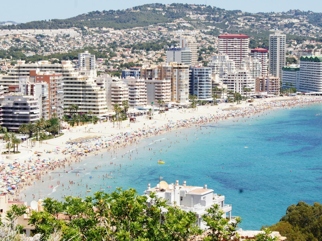 Playa de Levante o la Fossa景点图片