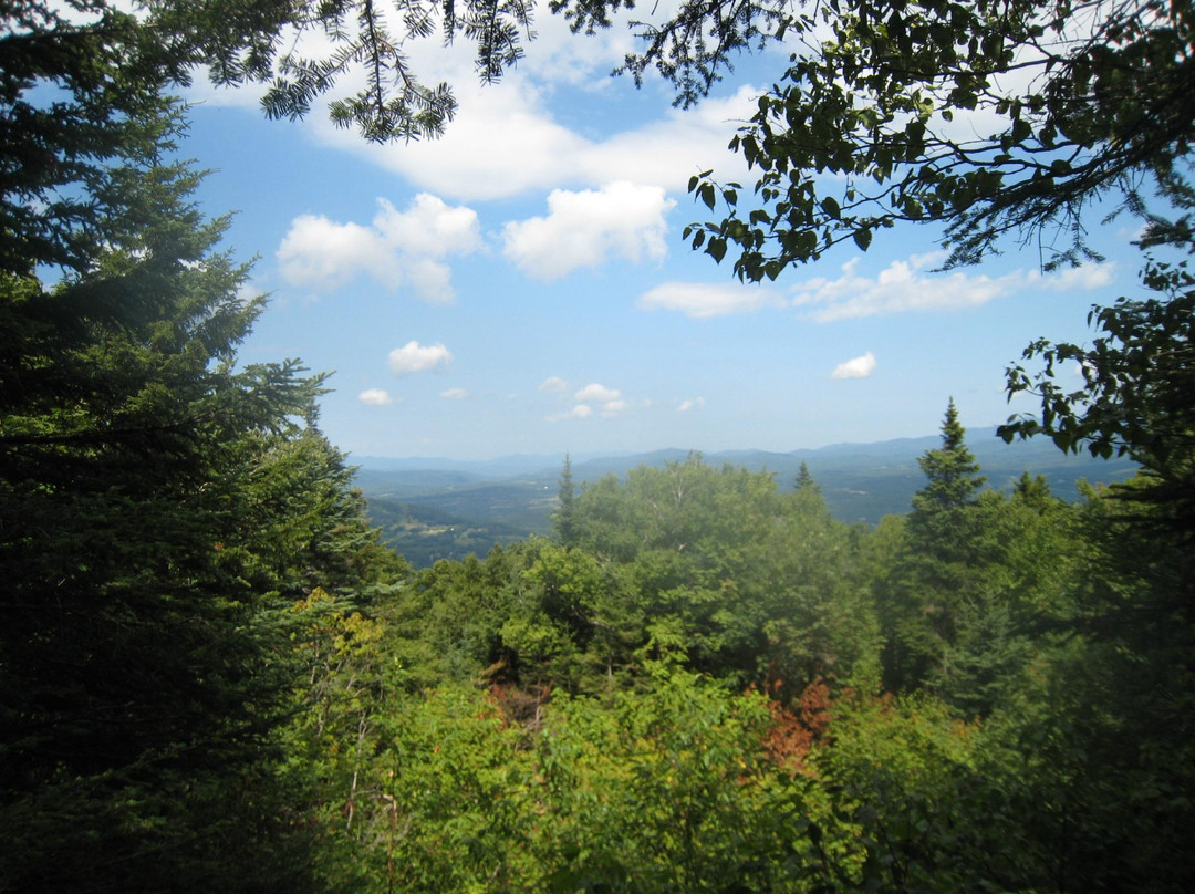 Healdville Trail-Ludlow必去景点