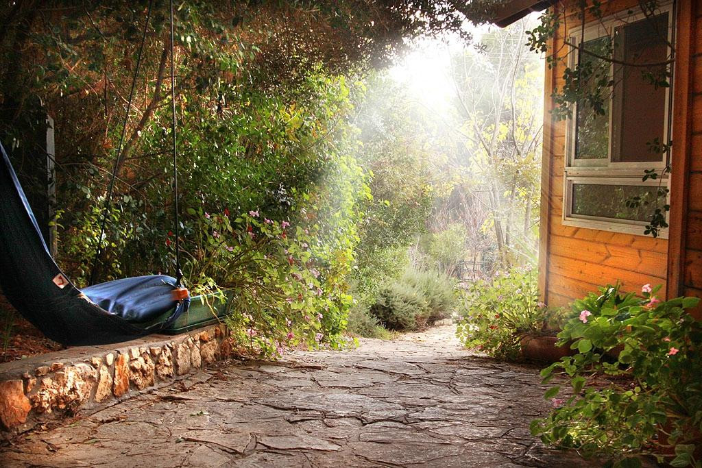 Zimmers at the Forest主图