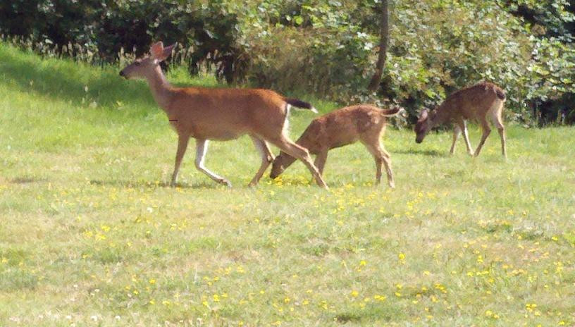 Salmon Run Golf Course-布鲁金斯必去景点