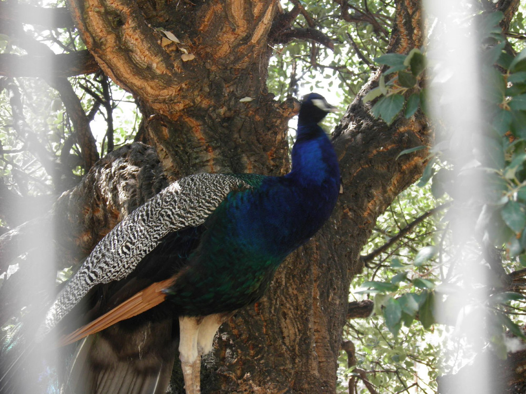 Parc Zoologique de Frejus-弗雷瑞斯必去景点