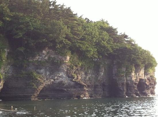 Gyeokpohang Fish Market-扶安郡必去景点