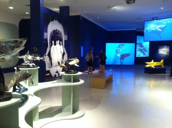 NSU Art Museum Fort Lauderdale-劳德代尔堡必去景点