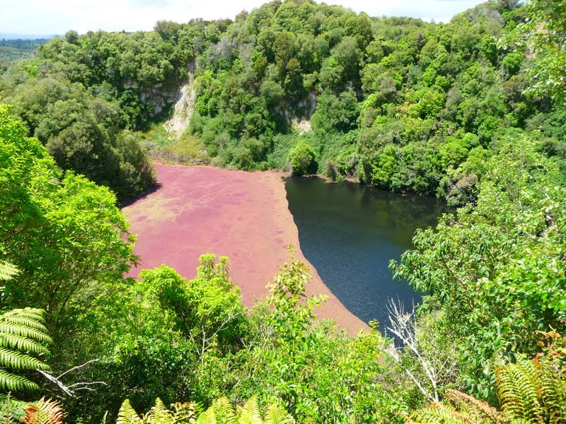 Waimangu Volcanic Valley景点图片