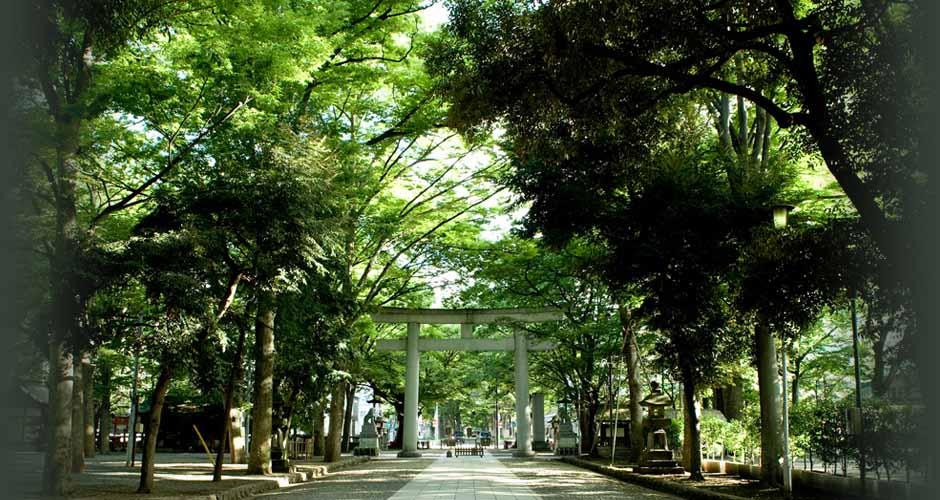 Okunitama Shrine-府中市必去景点
