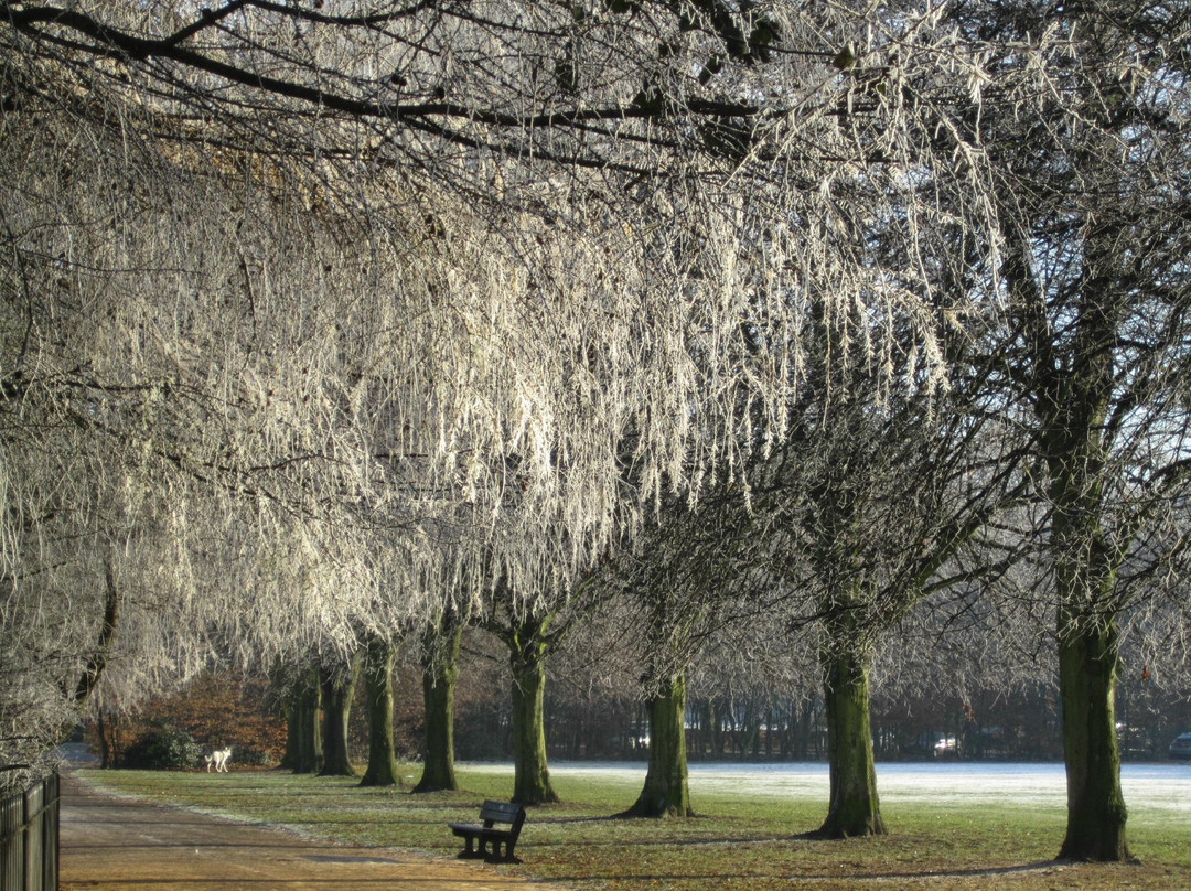 Calderstones Park景点图片