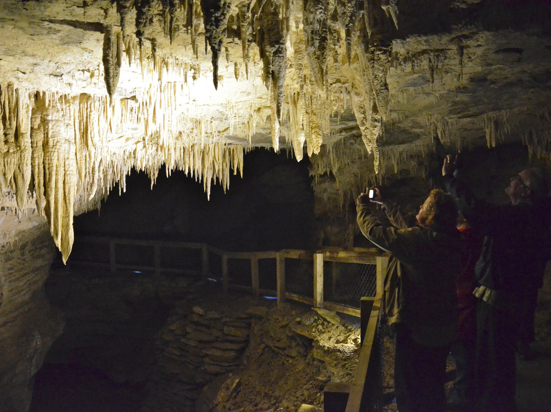洞穴世界-怀托摩洞穴必去景点