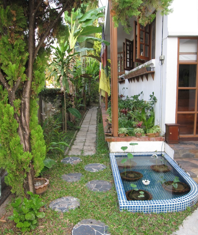 Dr. Tui's Bed and Breakfast主图