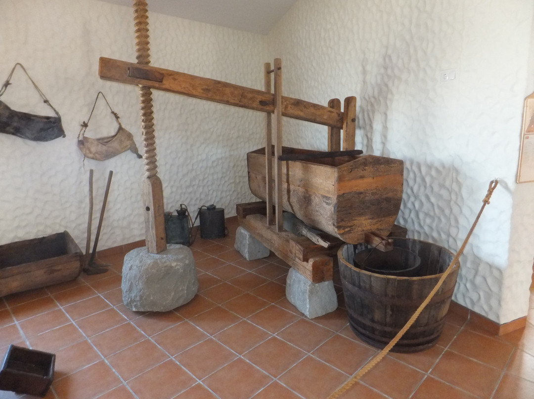 Museu do Cardina-Porto Santo Island必去景点