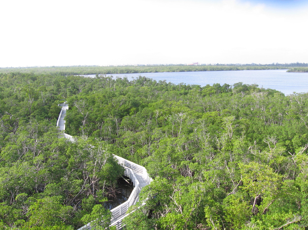 Anne Kolb Nature Center景点图片