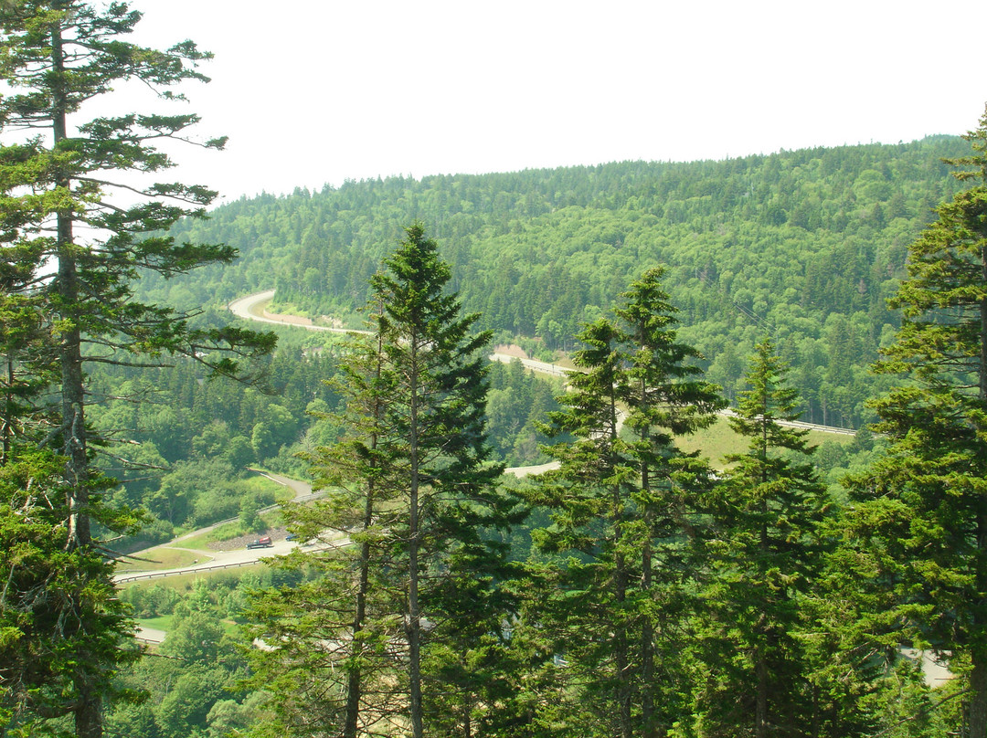 Fundy Trail Provincial Park-St. Martins必去景点