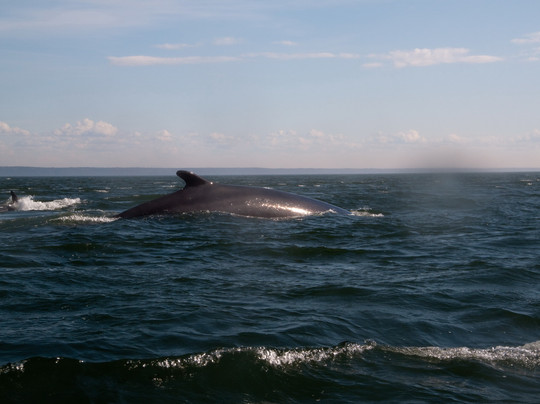 Otis Excursions-泰道沙克必去景点