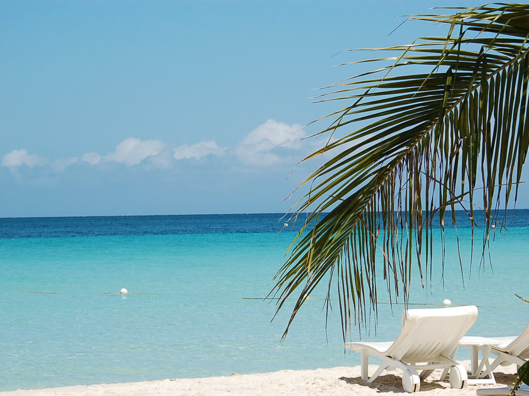 七英里海滩-内格里尔必去景点