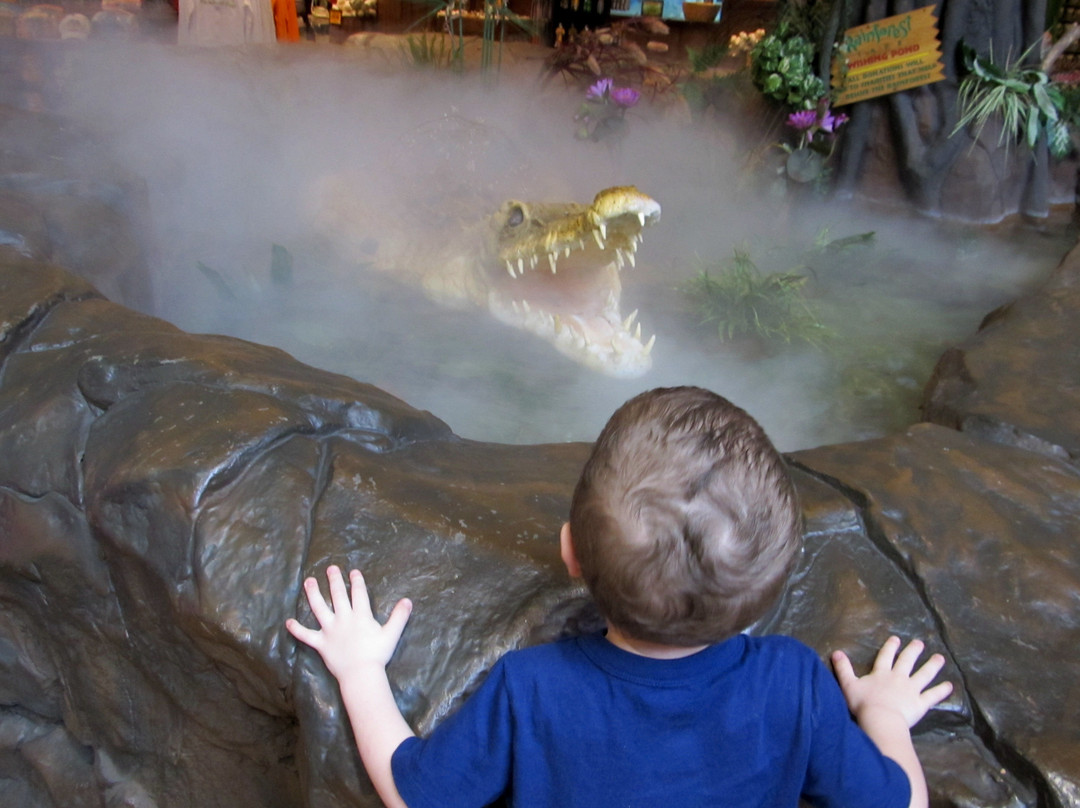 葡萄米尔斯购物中心-葡萄藤必去景点