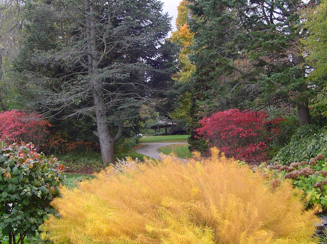 Klehm Arboretum & Botanic Garden-罗克福德必去景点