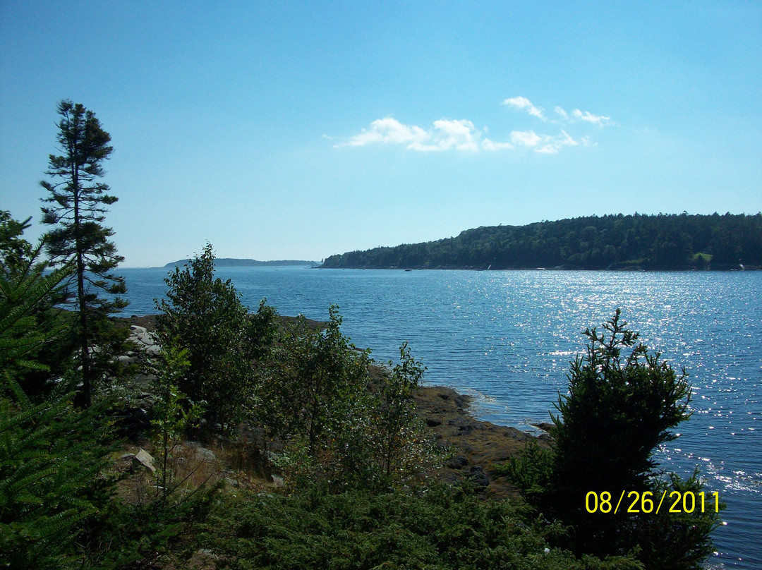 Cabbage Island-布斯贝港必去景点