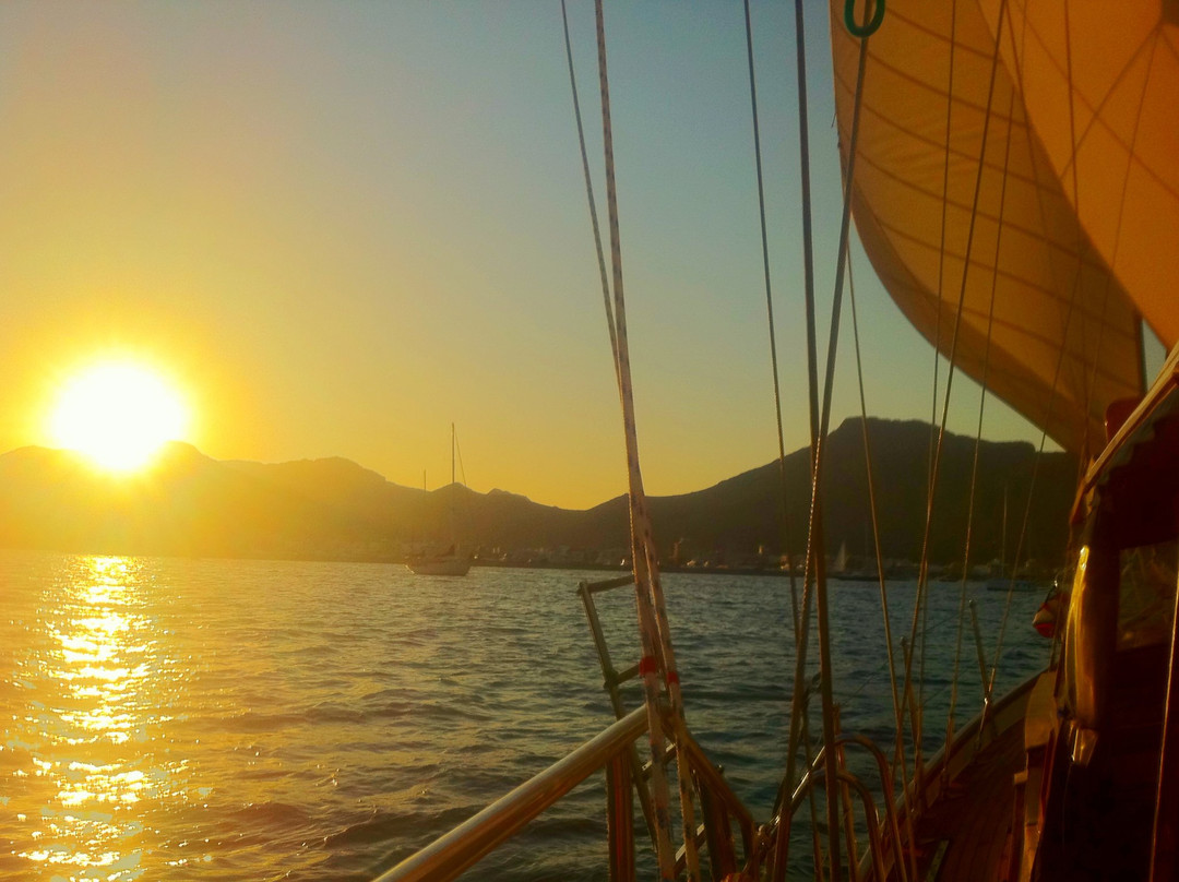 Tudor  Dawn Sailing Charters-波连萨必去景点