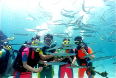 海南潜水-中潜-三亚市必去景点