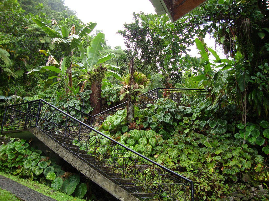 Papillote Tropical Gardens-罗索必去景点