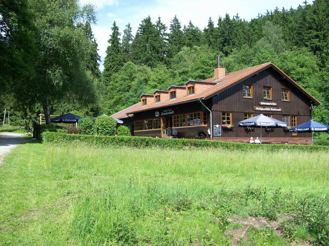 Sankt Andreasberg餐馆和美食-Waldgaststatte Rinderstall