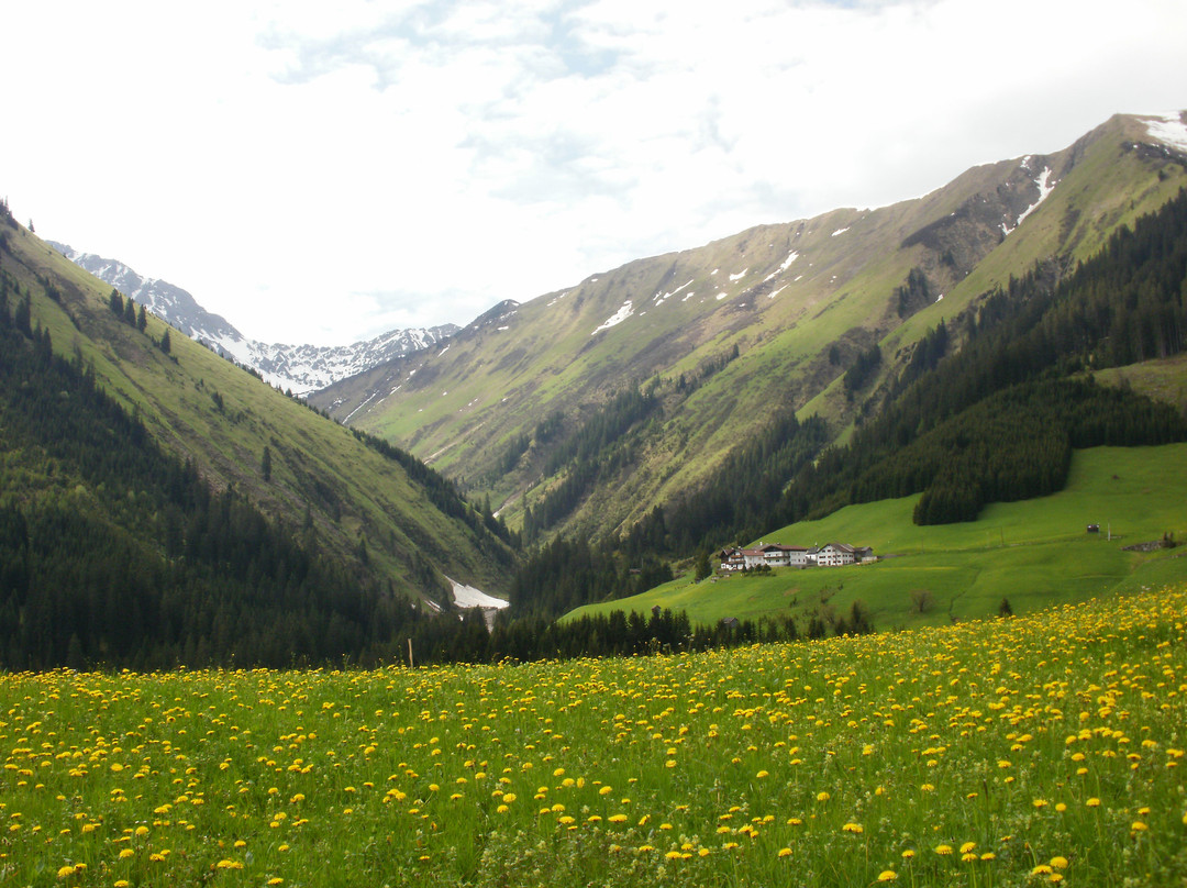 Alpenhof