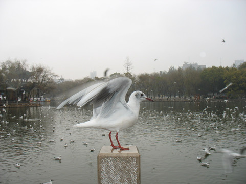 昆明翠怡酒店主图